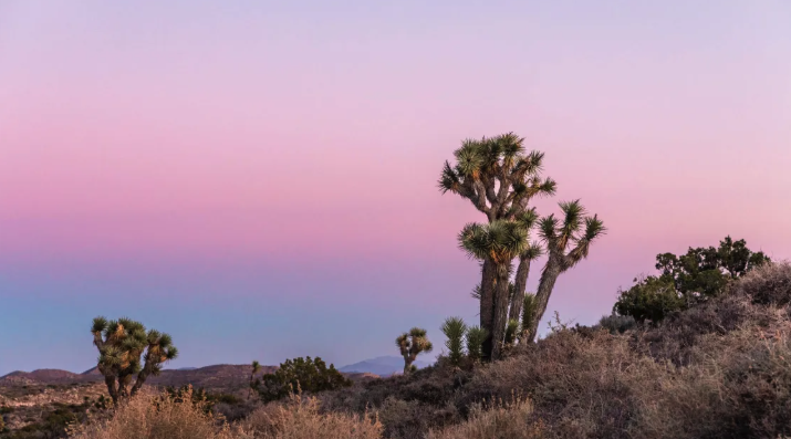 The Wedding Website of Gabby Paredes and Nathan Cutler