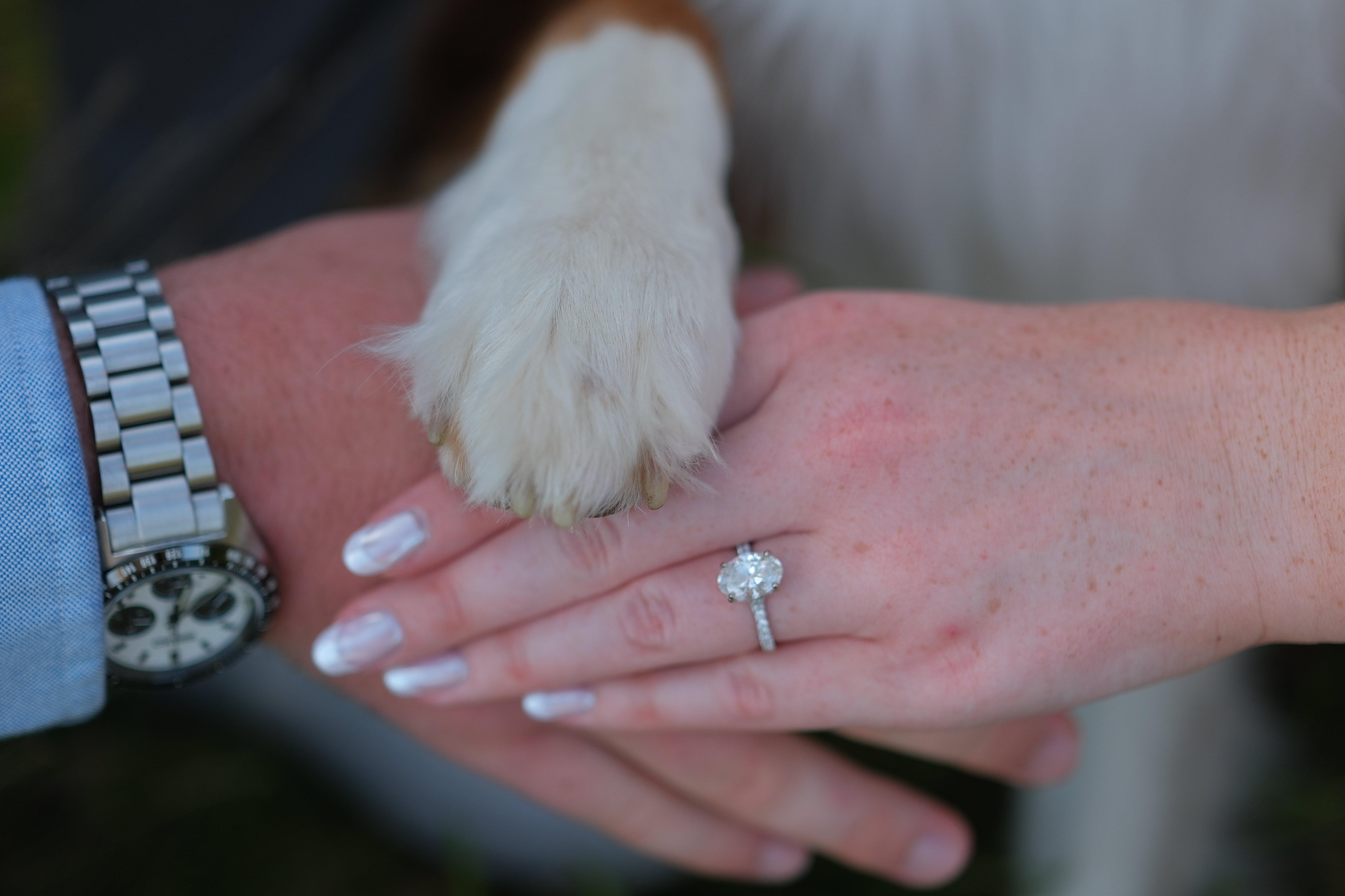 The Wedding Website of Justin Maguire and Shannon Matthews