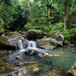 El Yunque National Forest