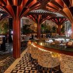 Restaurants: Holoch