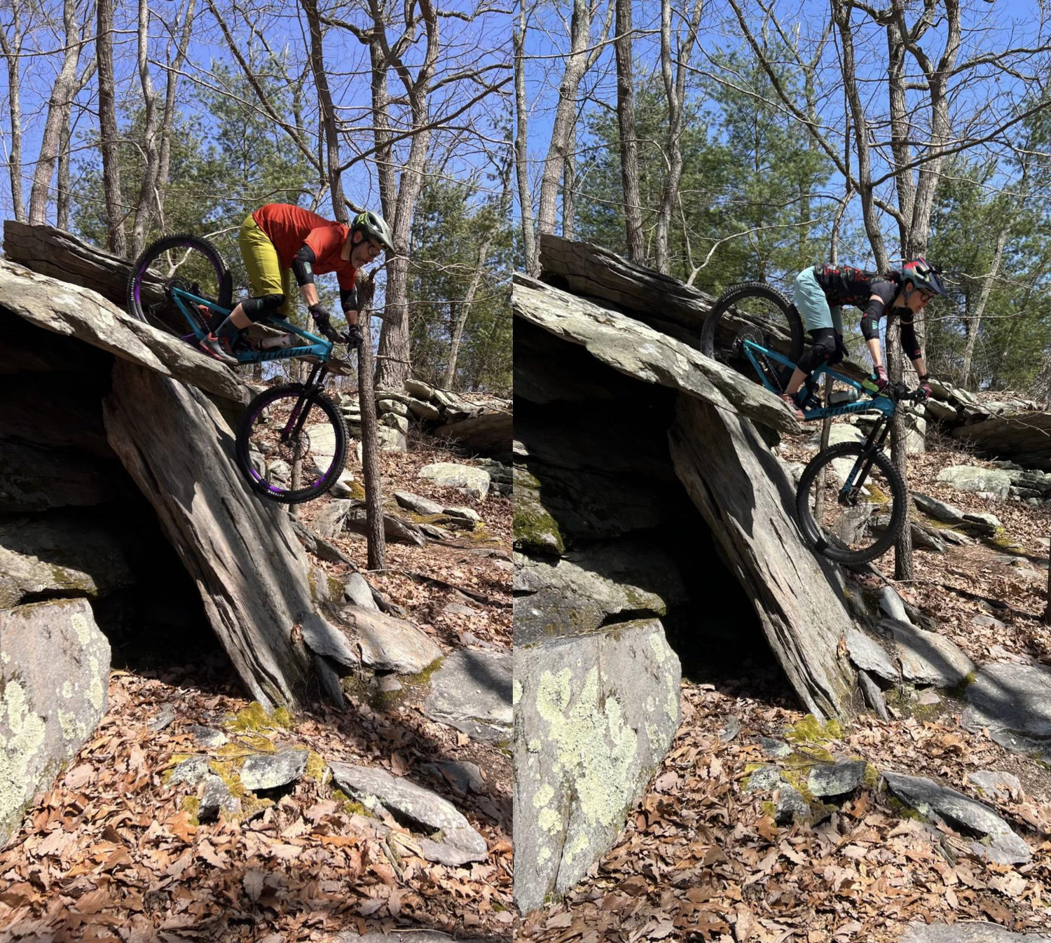 Michaux magic!