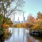 Central Park