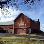 Angry Orchard Cider House