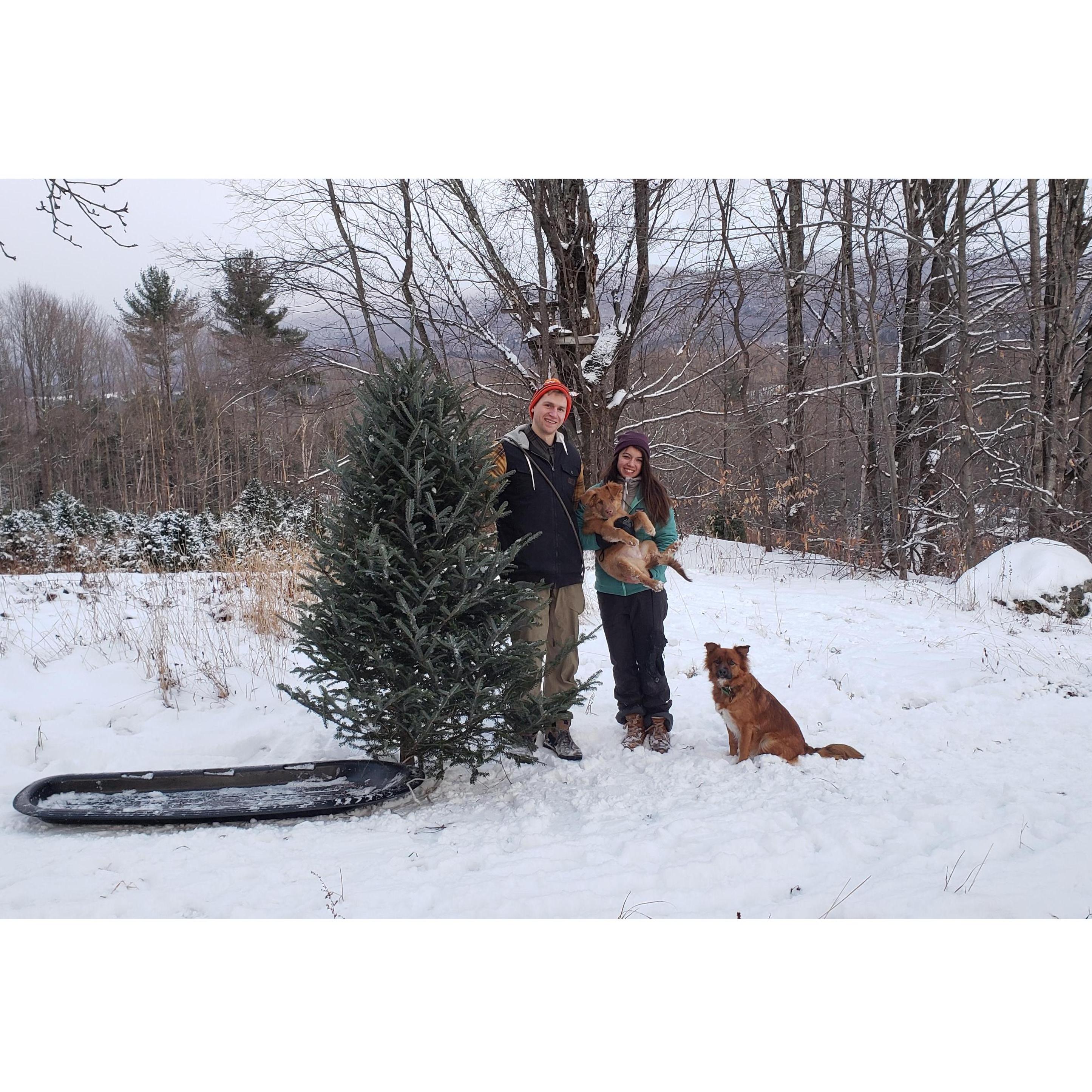 First Christmas tree together