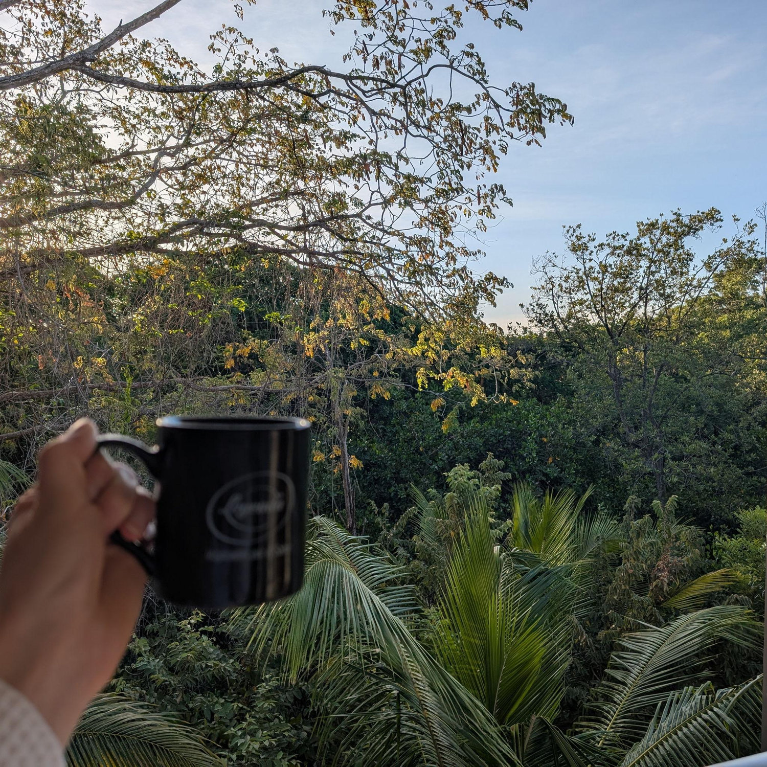 Our costa rica vacation in March 2025