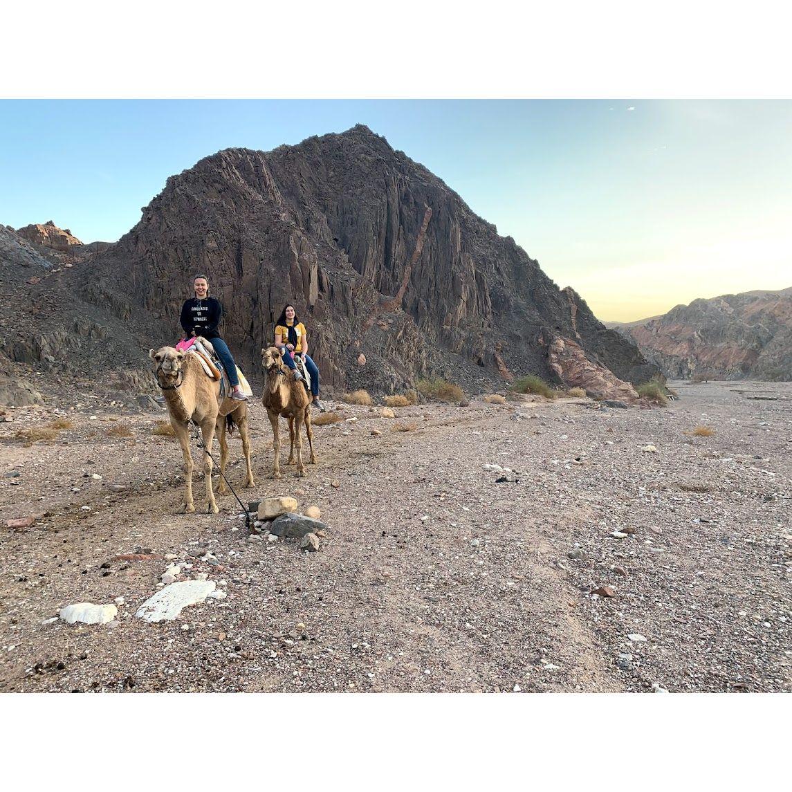 Riding camels in Eilat, Israel