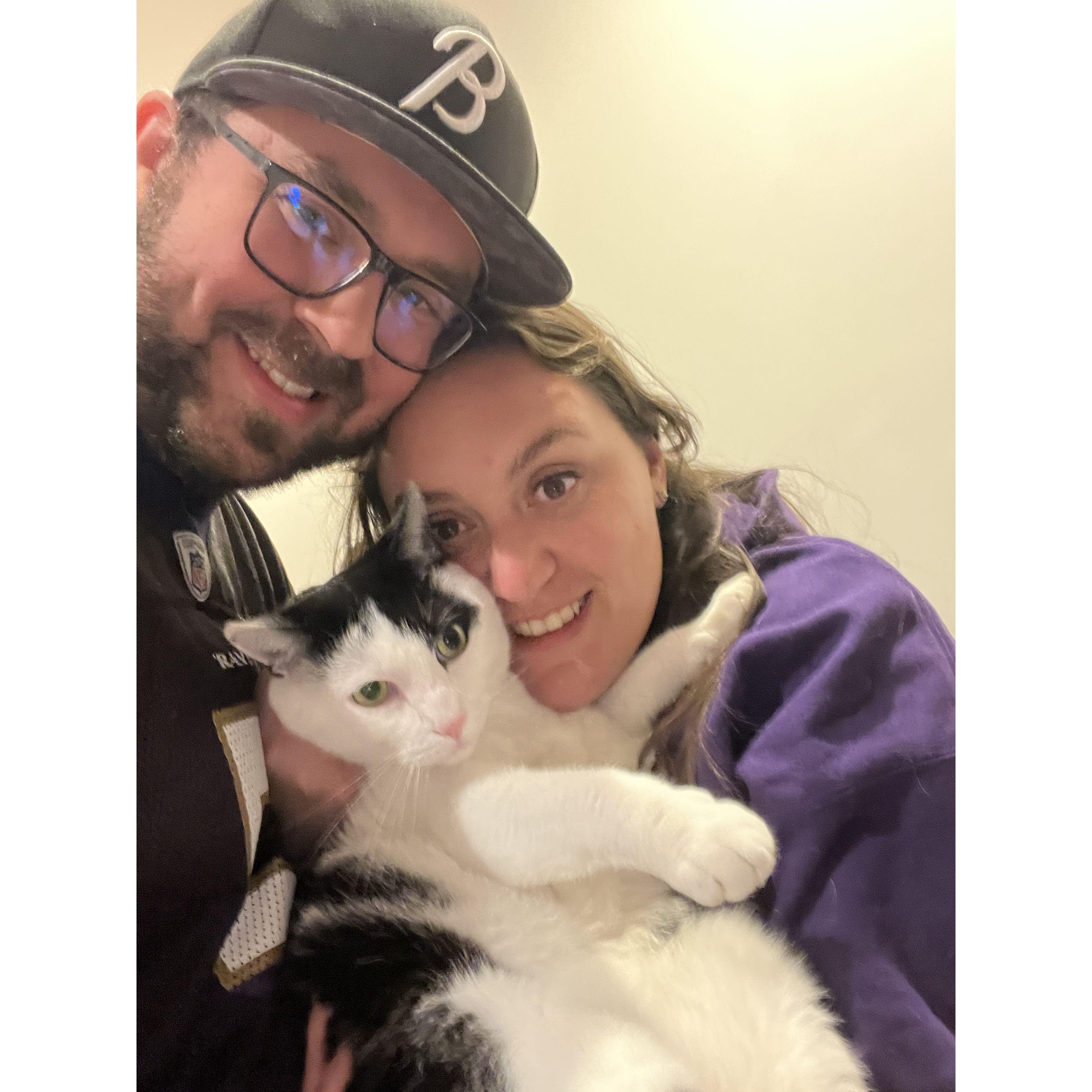 Spending time with the cats!