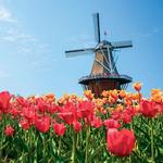 Tulip Time Festival