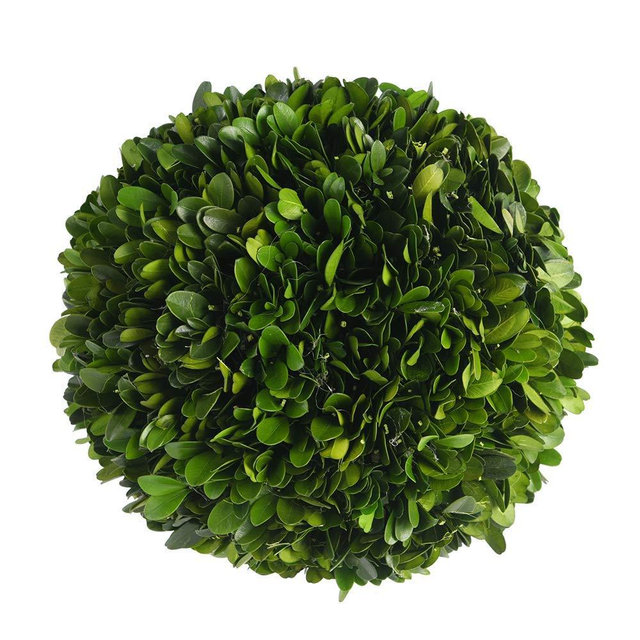 Boxwood Topiary Ball 5 inches Preserved Boxwood Decorative Balls for Wedding, Home, Office, Hotel Decor Indoor Plant Ball Topiary Tree Substitute Christmas Decorative Ball