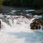 Raft on the Wild and Scenic White Salmon River