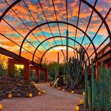 Desert Botanical Garden