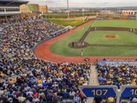 Mon County Ballpark