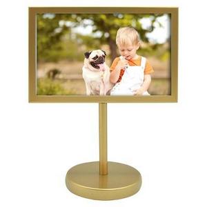 Pedestal Single Image Frame 4x6 - Brass - Project 62™