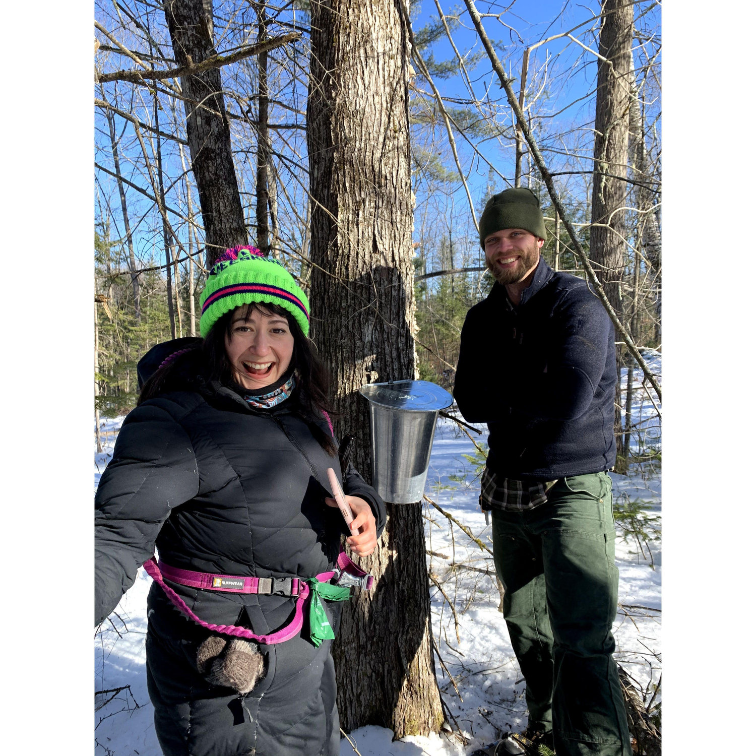 Tapping Maple Syrup on the Solomon 66