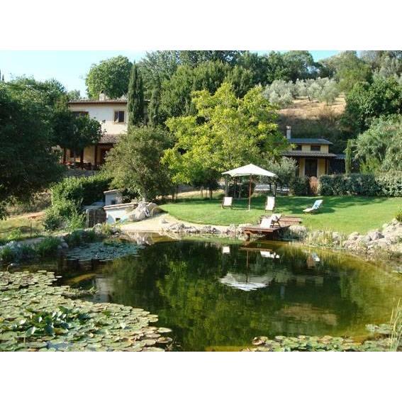 The Lake