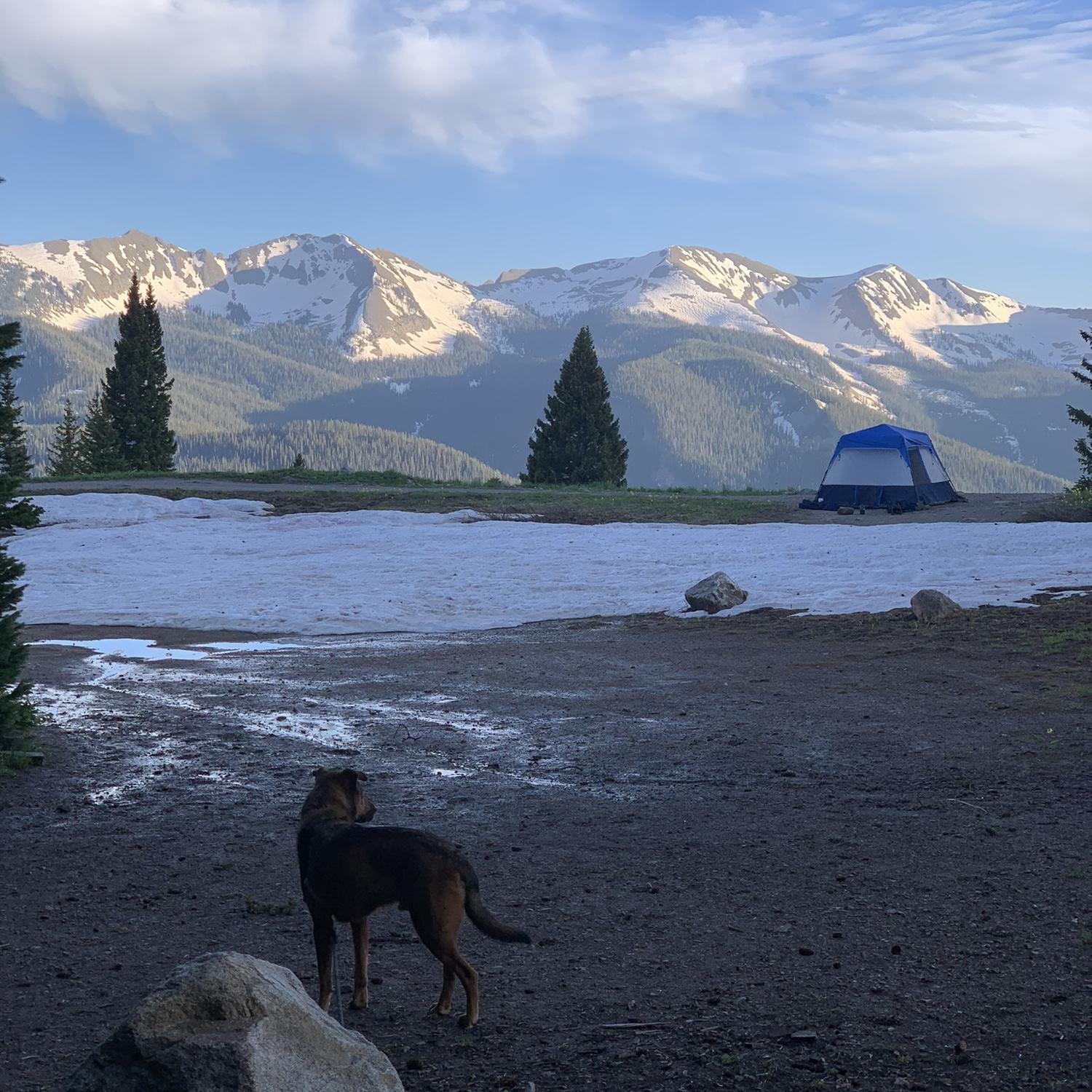 Camping in Crested Butte