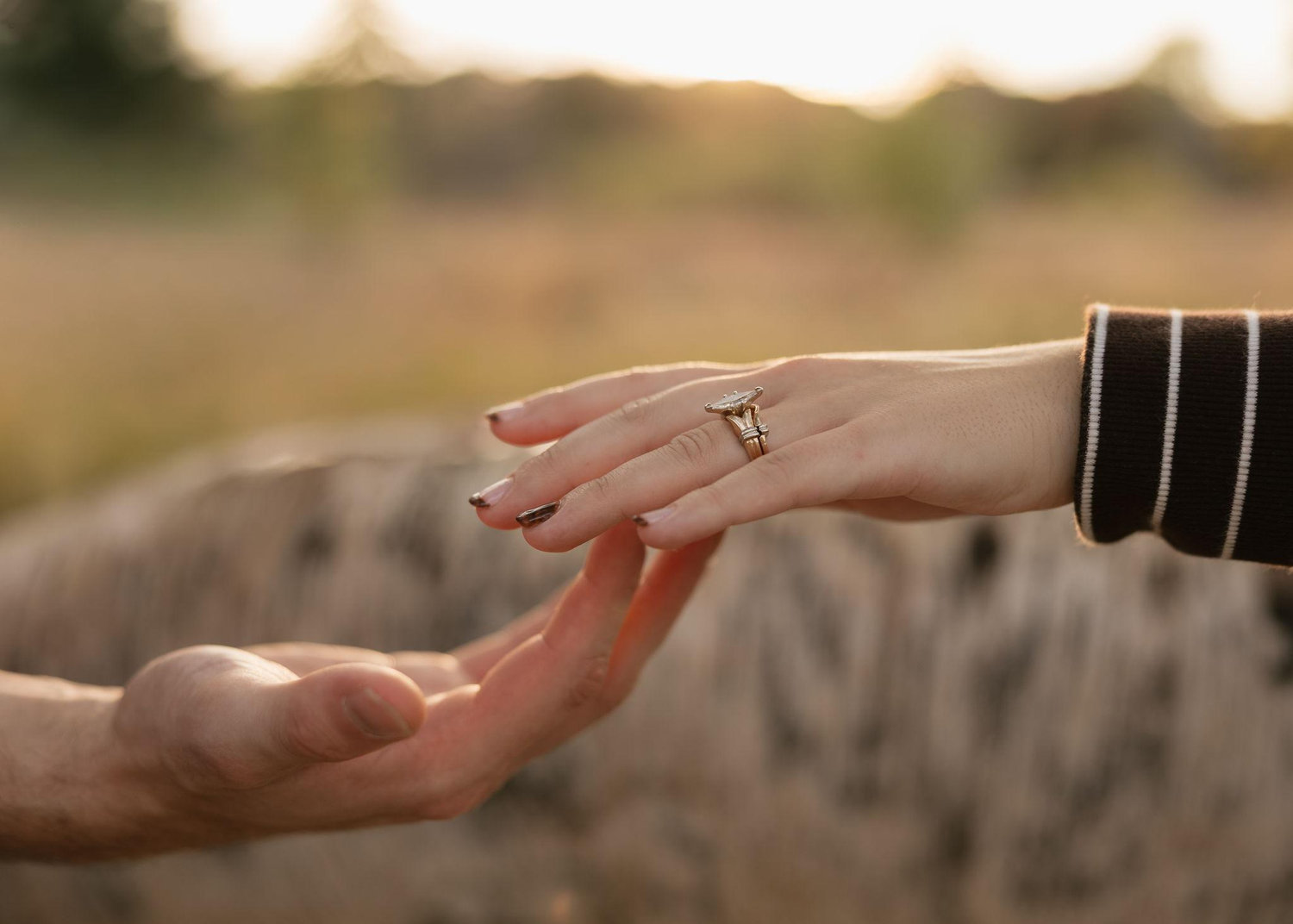 The Wedding Website of Anika Jurries and Bradley Horner
