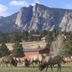 Estes Park