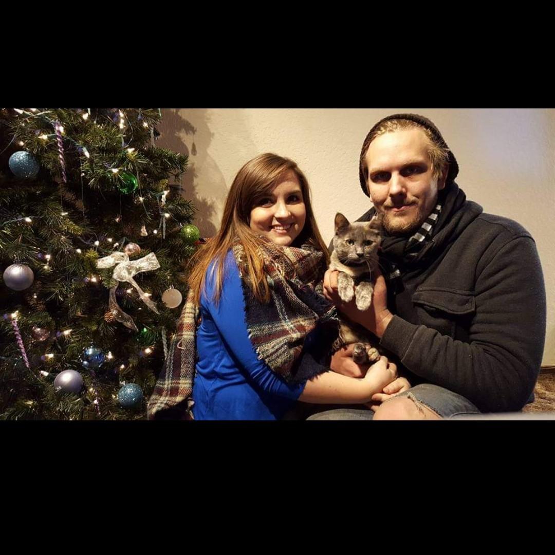Christmas with our Edie cat!