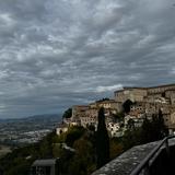 Todi