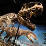 Denver Museum of Nature & Science