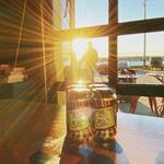 Rejects beer co.