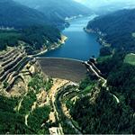 Cougar Reservoir