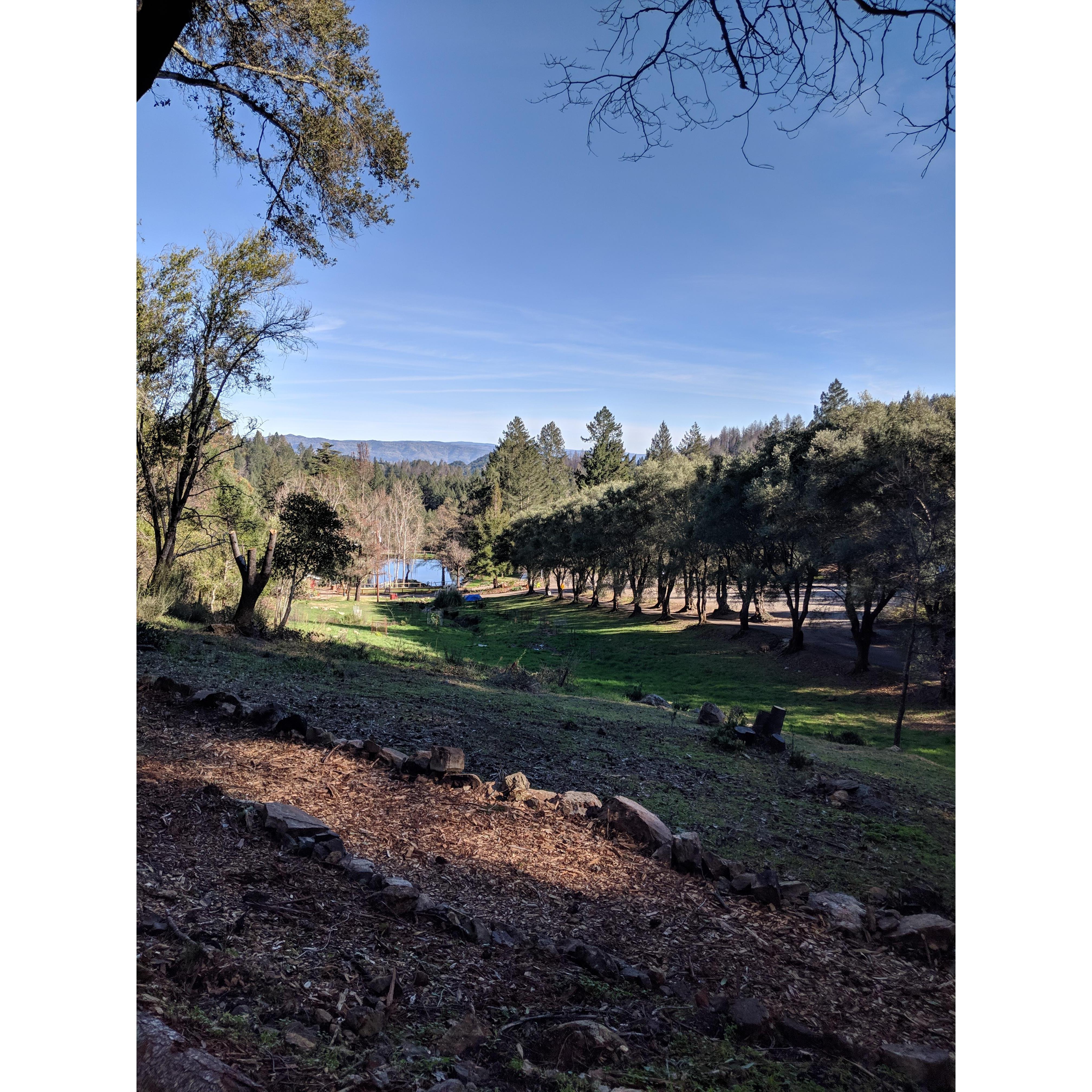 Enchanted Hills
