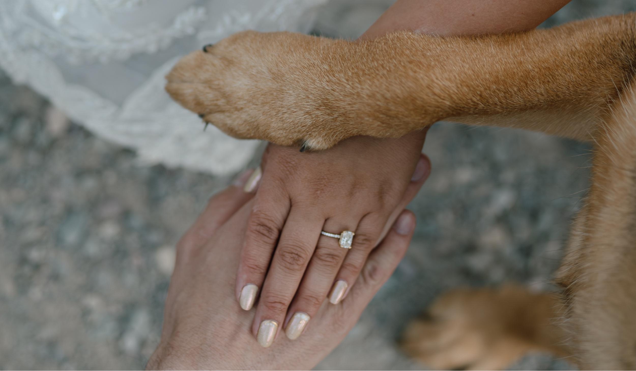 Hero Slideshow Image 5