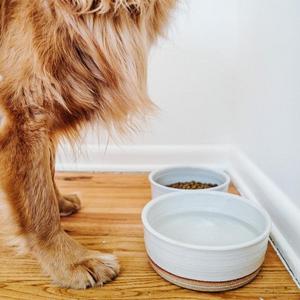 Dog Bowls, Nesting Set