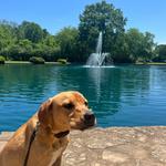Freedom Park
