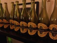 The Brander Vineyard