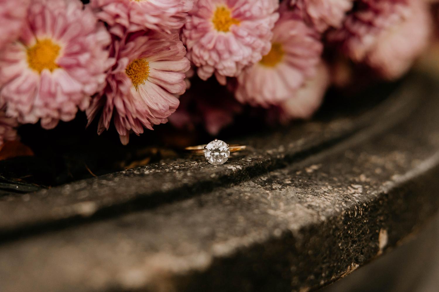 The Wedding Website of Caisy Lynn Falzone and George Brudermann