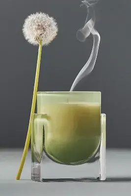 Found Notes Woody Cedar Leaf & Oak Candle