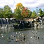 Bay Beach Wildlife Sanctuary