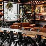 Oddstory Brewing Co: The Greenhouse