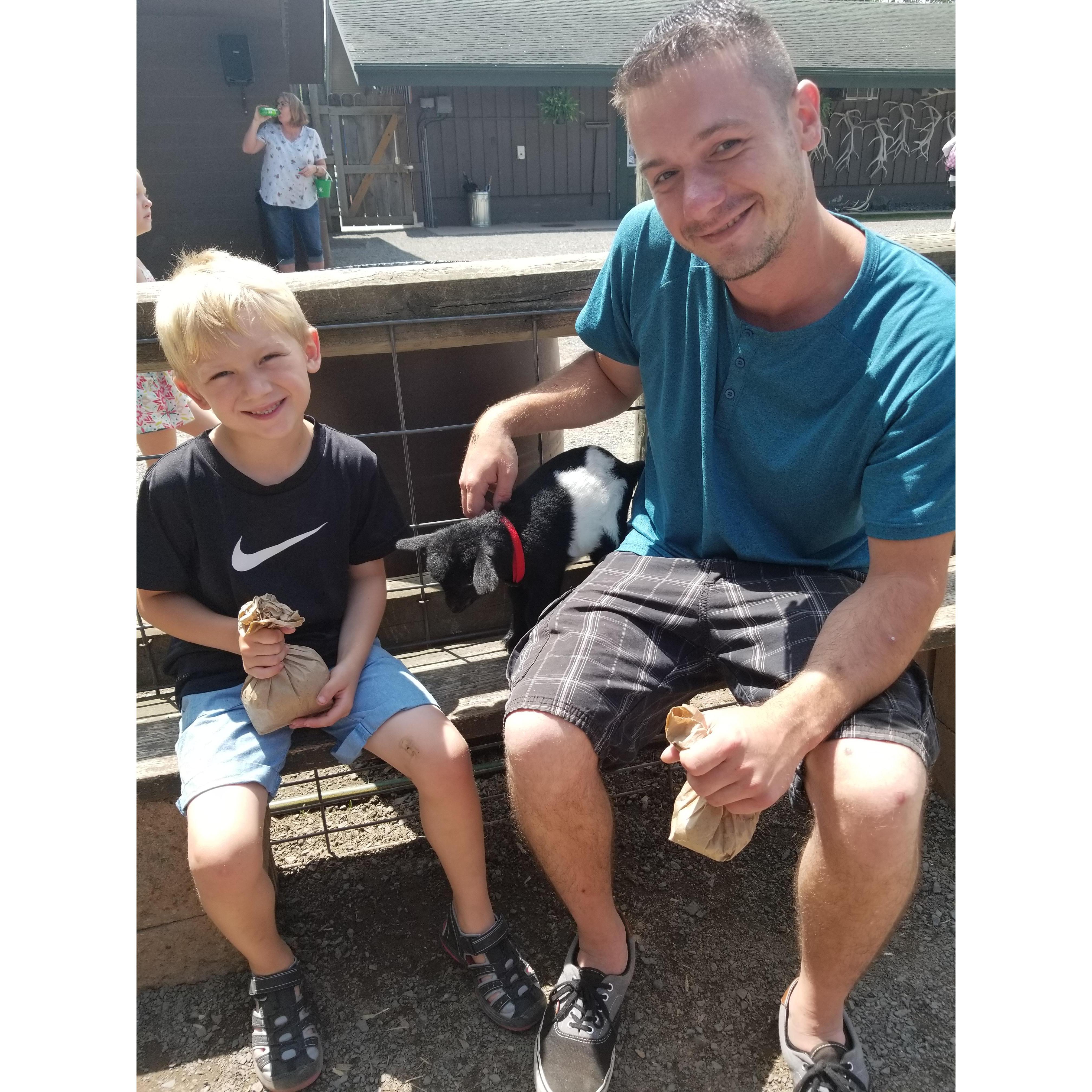 Petting baby goats, June 2018