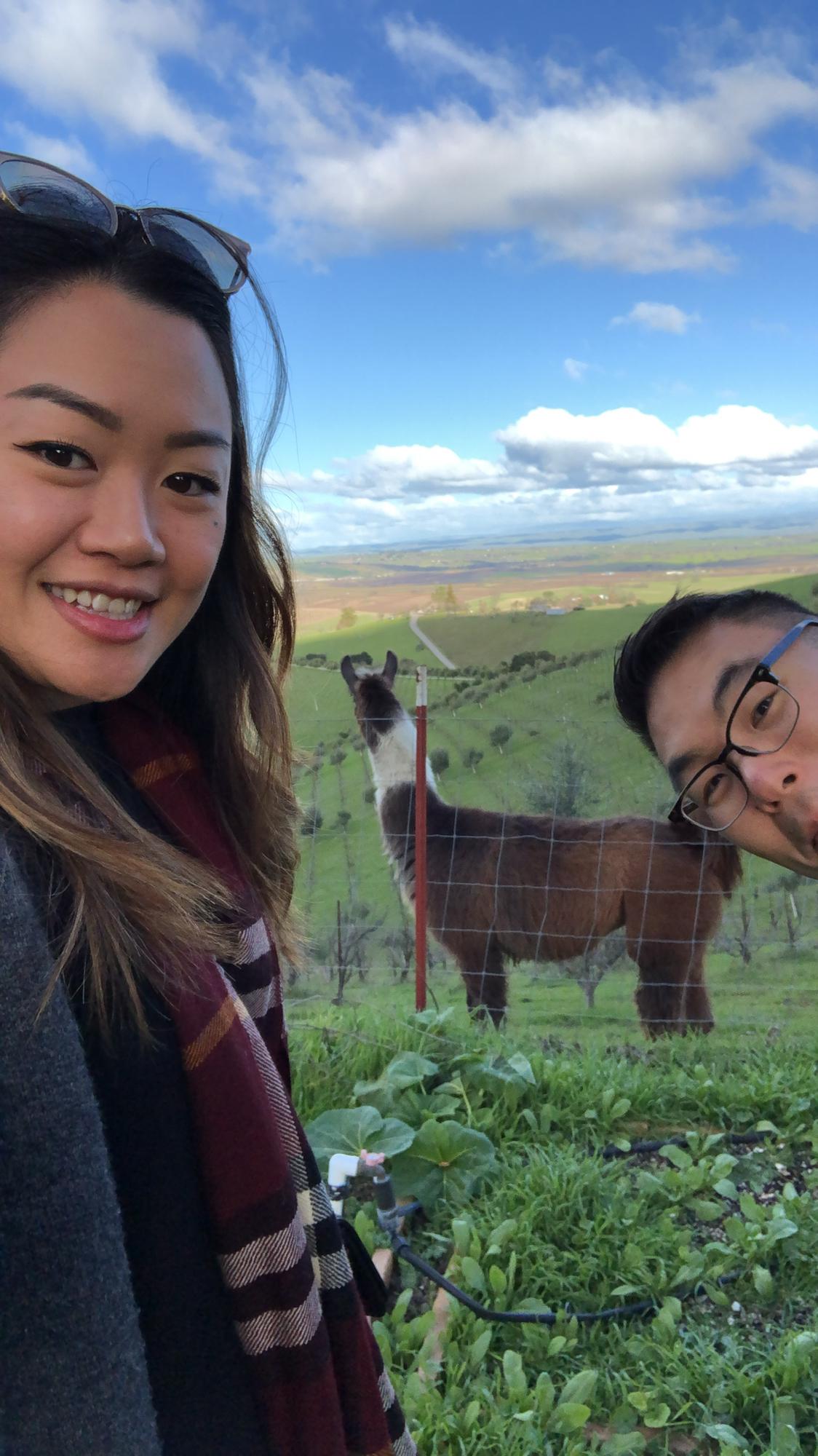 Paso Robles 2018