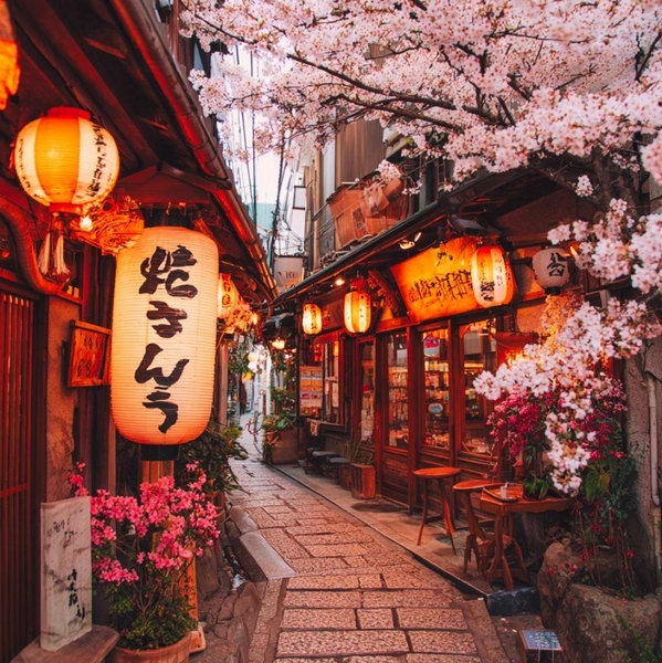 Our Tokyo Honeymoon Fund