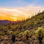 Gates Pass Trailhead
