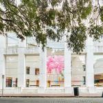 Jepson Center for the Arts