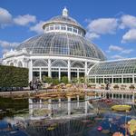 New York Botanical Garden