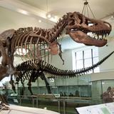 Smithsonian National Museum of Natural History