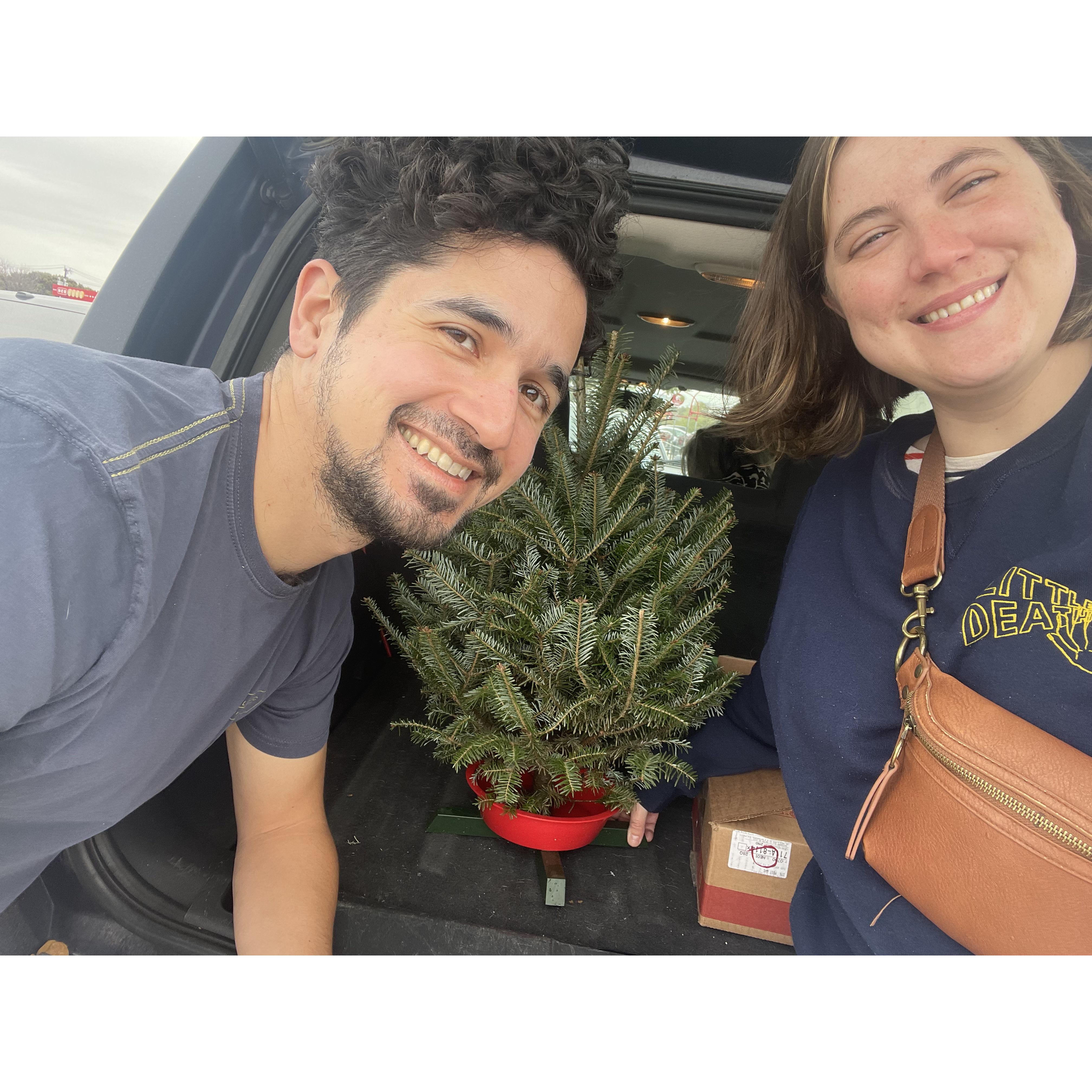 Our yearly tradition, a tiny Christmas tree.