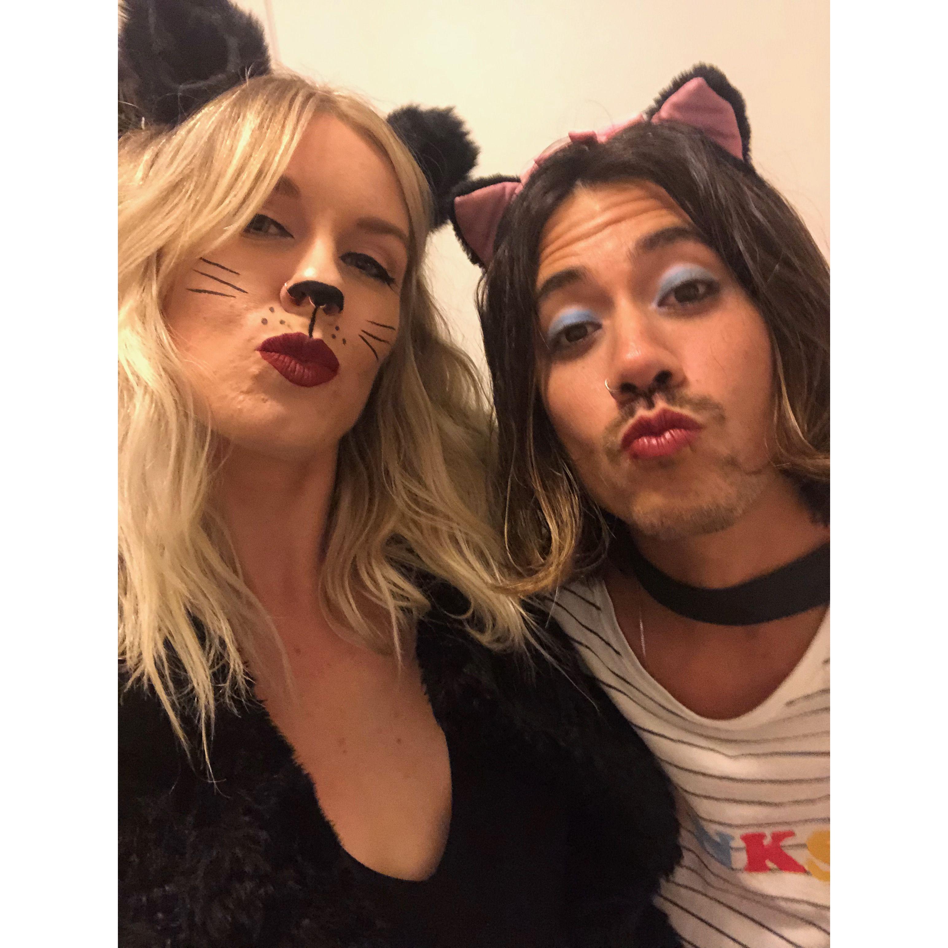 Meowwww!