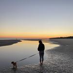 Beach Walks