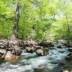 Harriman State Park