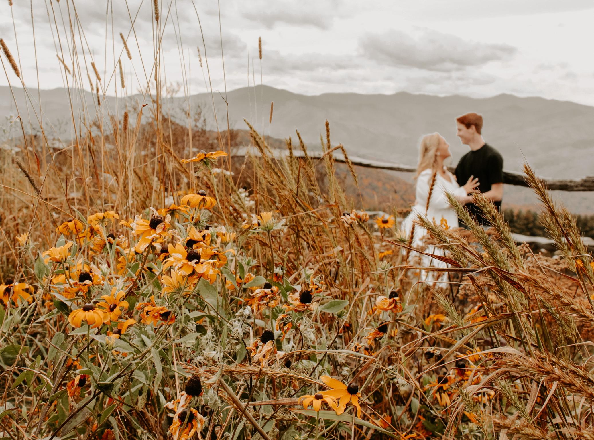 The Wedding Website of Hali Trull and Drew Hall