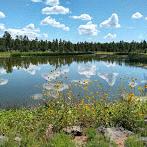Woodland Lake Park