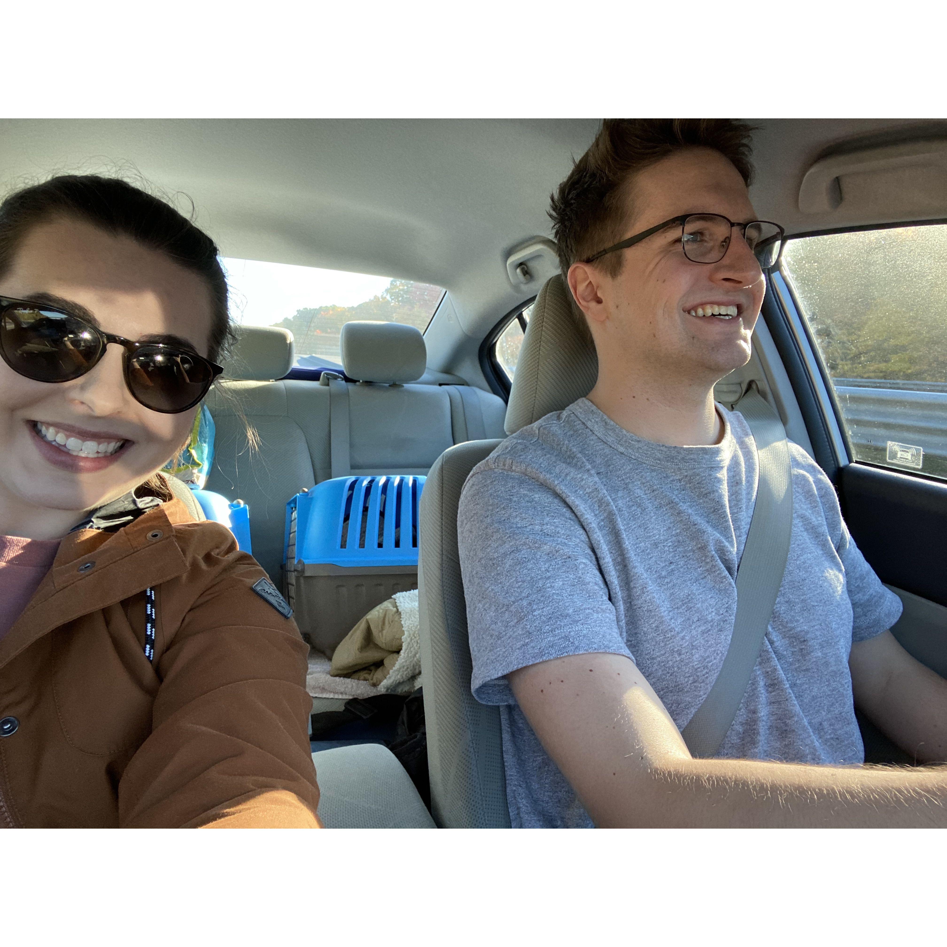 Driving with our two cats for our big move to DC from Boston!